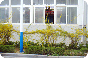 生產(chǎn)車(chē)間
